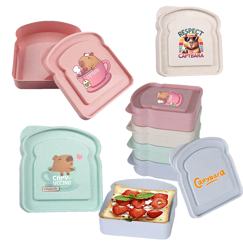 Food Storage Containers Plastic Box - Capybara Sandwich Food Storage Case Container