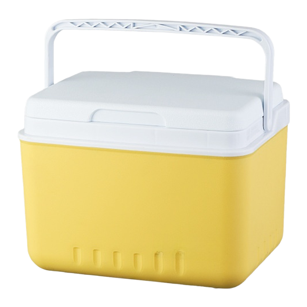 Portable 6L 15L Insulated Cool - đánh giá và giá Food Storage Camping