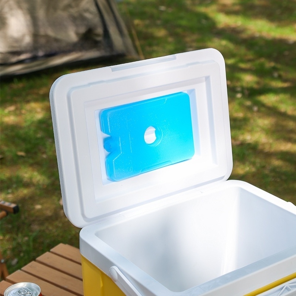Portable 6L 15L Insulated Cool - đánh giá và giá Food Storage Camping